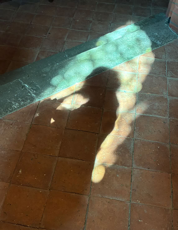 van Eyck Ulrike Volkhardt©Fabienne Kirschke